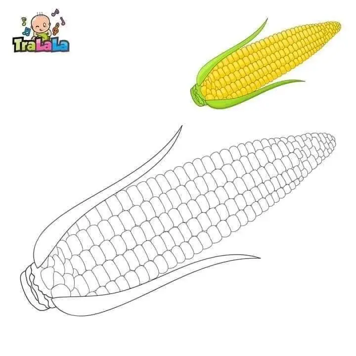 Tranh Tô Màu Củ Cà Rốt Ngộ Nghĩnh 27