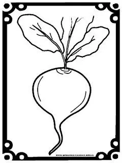 Tranh Tô Màu Củ Cà Rốt Ngộ Nghĩnh 63