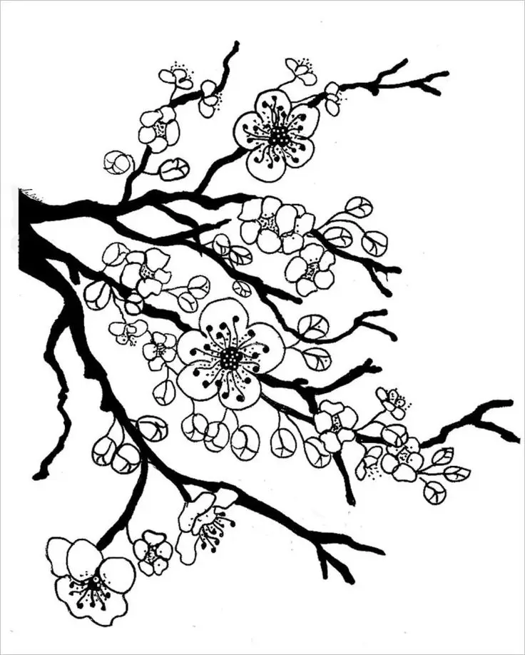 Tranh tô màu hoa đào – Tươi tắn cho ngày Tết 1