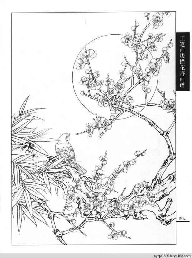 Tranh tô màu hoa đào – Tươi tắn cho ngày Tết 8