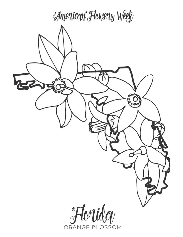 Tranh tô màu hoa đào – Tươi tắn cho ngày Tết 17