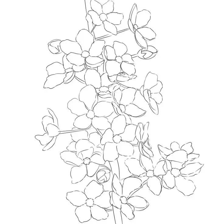 Tranh tô màu hoa đào – Tươi tắn cho ngày Tết 21