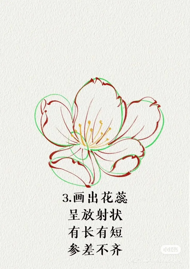 Tranh tô màu hoa đào – Tươi tắn cho ngày Tết 24