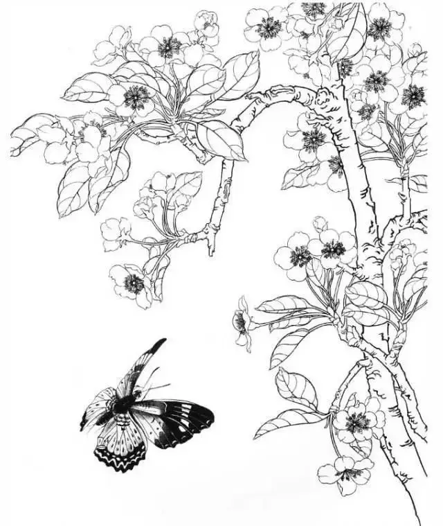 Tranh tô màu hoa đào – Tươi tắn cho ngày Tết 29