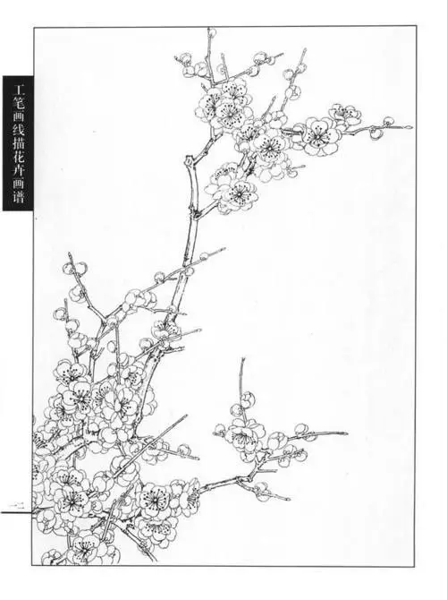 Tranh tô màu hoa đào – Tươi tắn cho ngày Tết 30