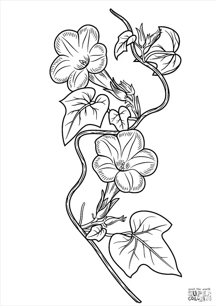 Tranh tô màu hoa đào – Tươi tắn cho ngày Tết 33