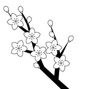 Tranh tô màu hoa đào – Tươi tắn cho ngày Tết 71