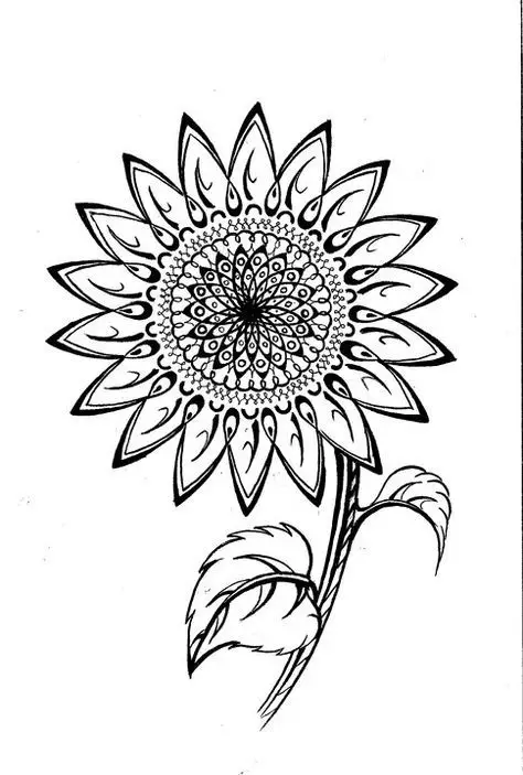 Tranh Tô Màu Hoa Cúc Ngọt Ngào 2