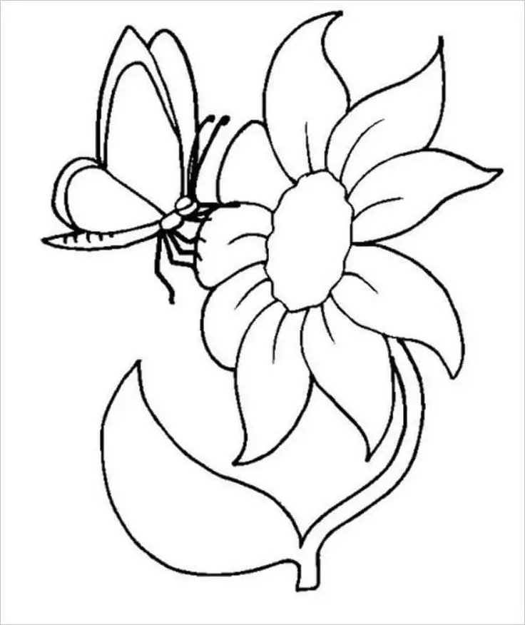 Tranh Tô Màu Hoa Cúc Ngọt Ngào 12