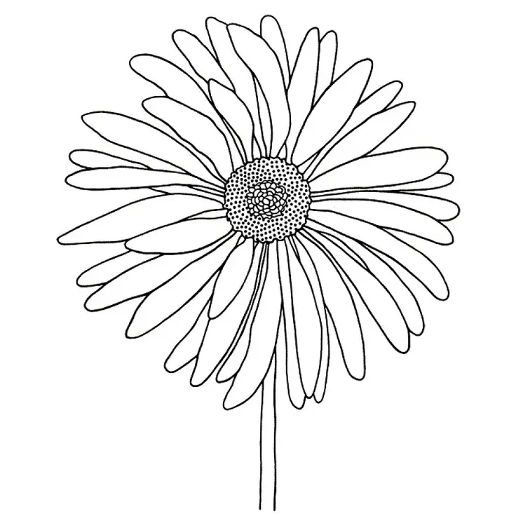 Tranh Tô Màu Hoa Cúc Ngọt Ngào 21