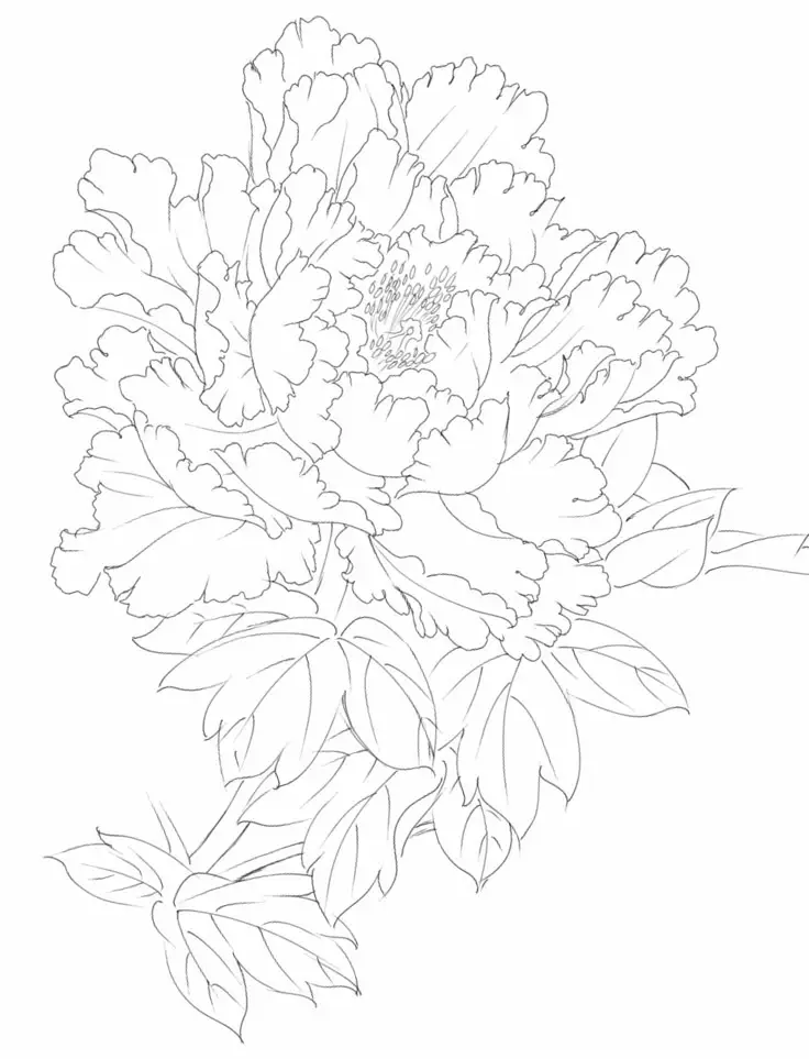 Tranh Tô Màu Hoa Cúc Ngọt Ngào 25