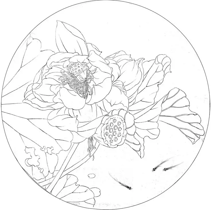 Tranh Tô Màu Hoa Cúc Ngọt Ngào 26