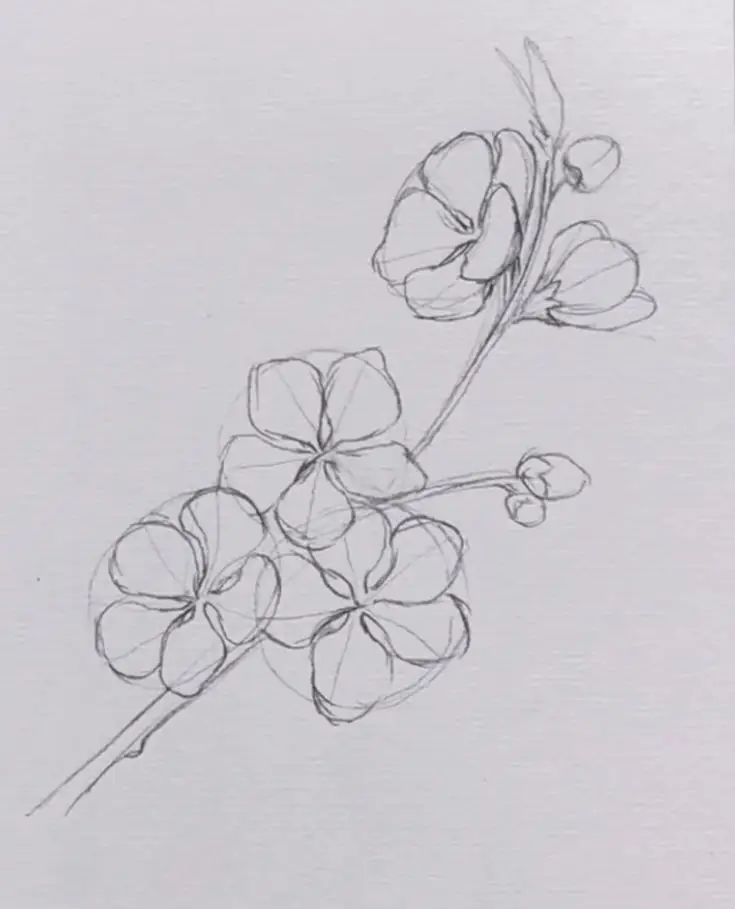 Tranh Tô Màu Hoa Cúc Ngọt Ngào 31