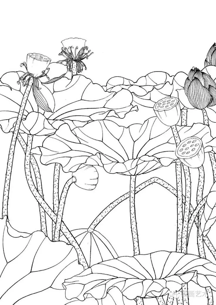 Tranh Tô Màu Hoa Cúc Ngọt Ngào 37