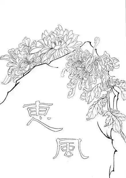 Tranh Tô Màu Hoa Cúc Ngọt Ngào 39