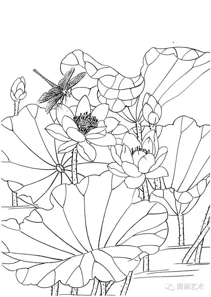 Tranh Tô Màu Hoa Cúc Ngọt Ngào 48