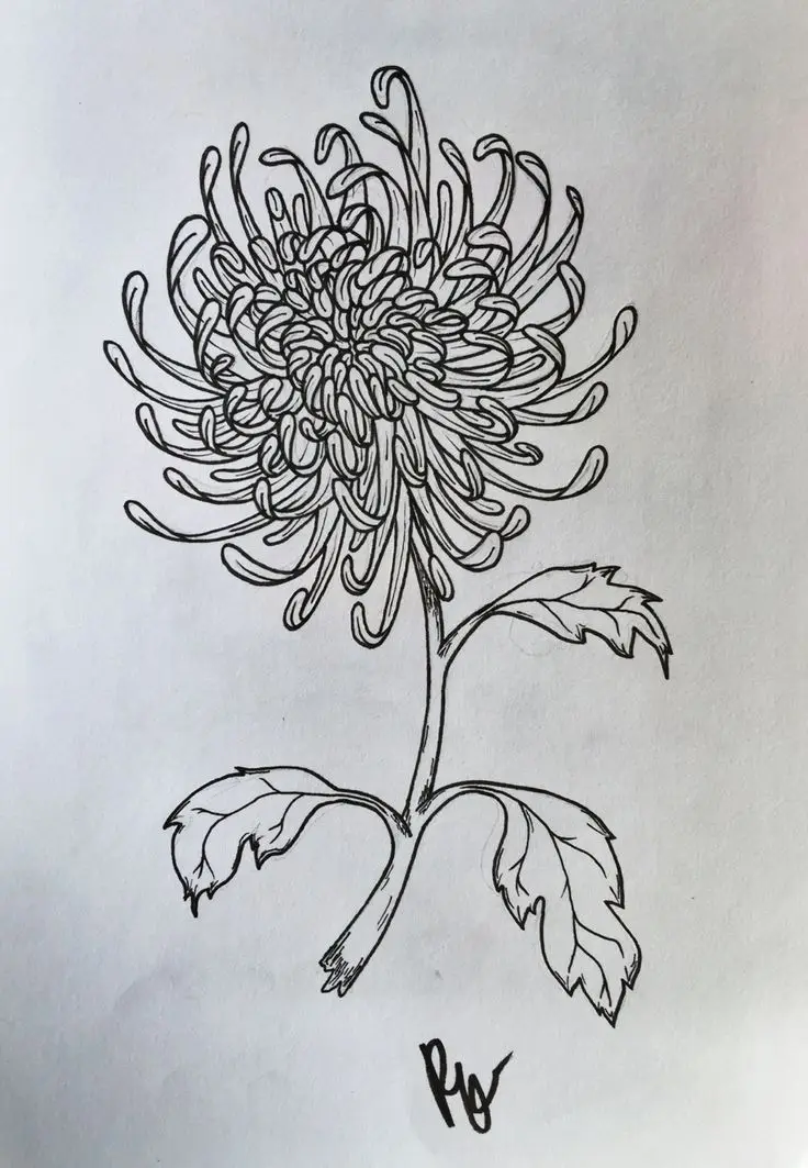 Tranh Tô Màu Hoa Cúc Ngọt Ngào 51