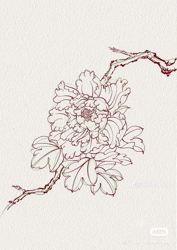 Tranh Tô Màu Hoa Cúc Ngọt Ngào 57