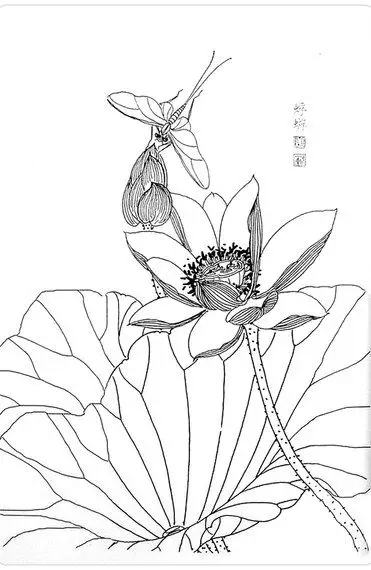 Tranh Tô Màu Hoa Cúc Ngọt Ngào 59