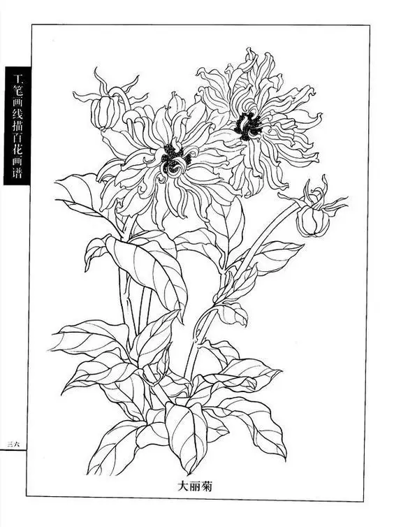 Tranh Tô Màu Hoa Cúc Ngọt Ngào 61