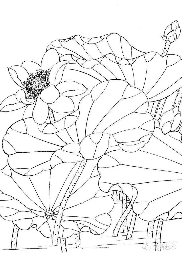 Tranh Tô Màu Hoa Cúc Ngọt Ngào 62