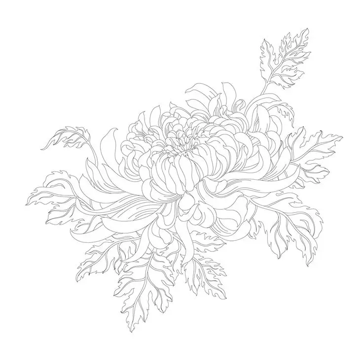 Tranh Tô Màu Hoa Cúc Ngọt Ngào 63