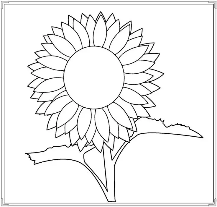 Tranh Tô Màu Hoa Cúc Ngọt Ngào 65