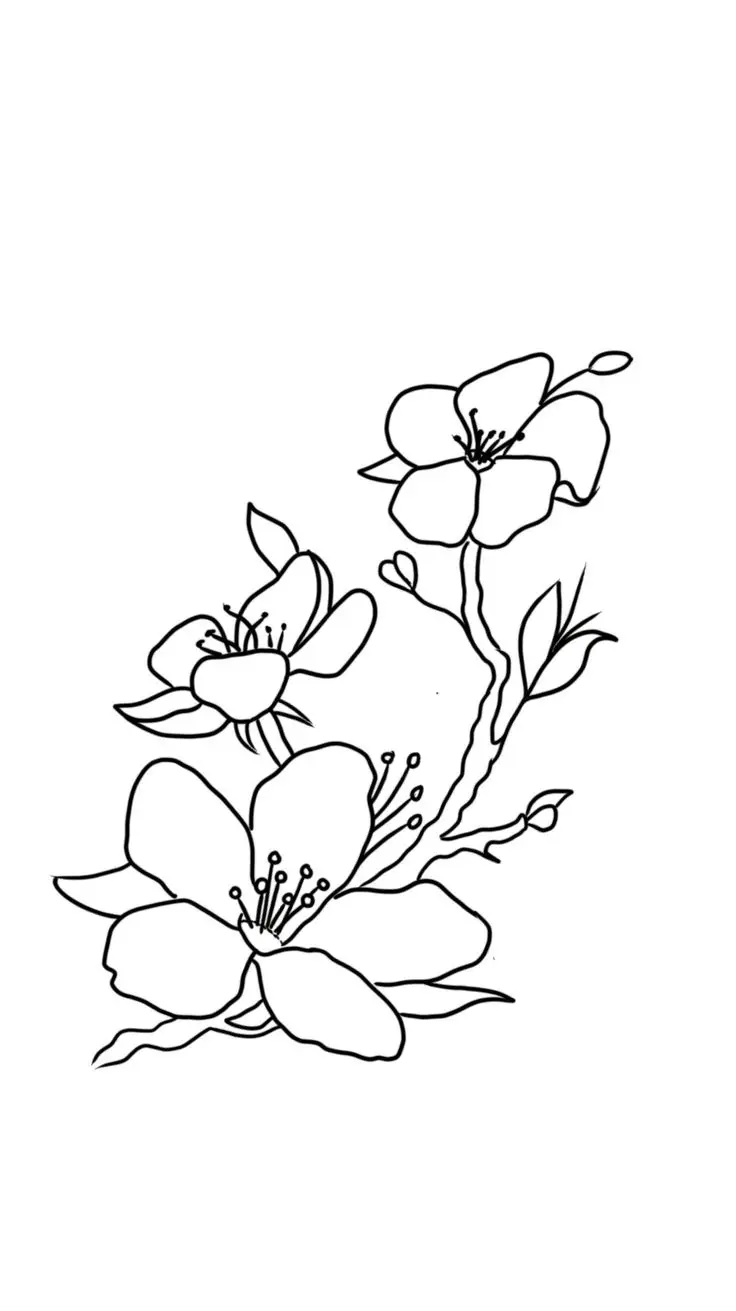Tranh tô màu hoa mai: Nét đẹp truyền thống 8