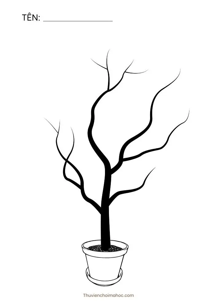 Tranh tô màu hoa mai: Nét đẹp truyền thống 19