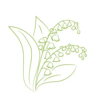 Tranh tô màu hoa mai: Nét đẹp truyền thống 36