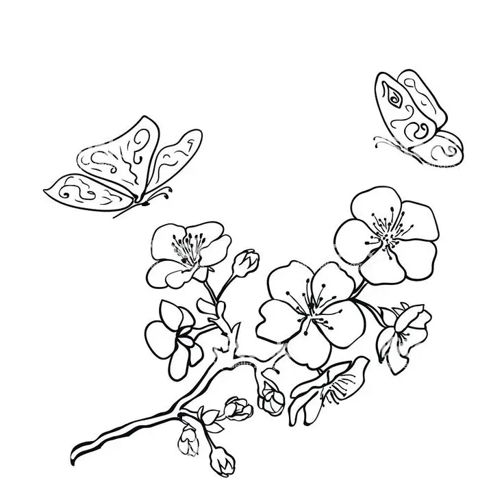 Tranh tô màu hoa mai: Nét đẹp truyền thống 71