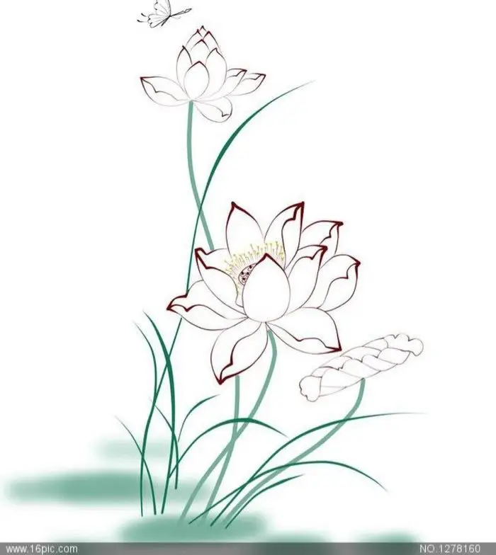 Tranh Tô Màu Hoa Sen Đẹp Để Giải Tỏa Căng Thẳng 60