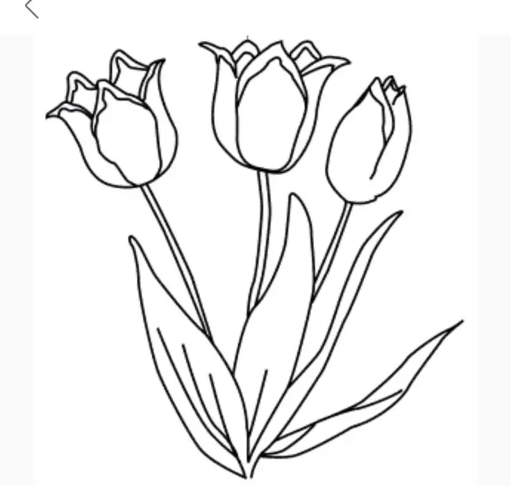 Tranh Tô Màu Hoa Tulip - Những Bông Hoa Rực Rỡ 7