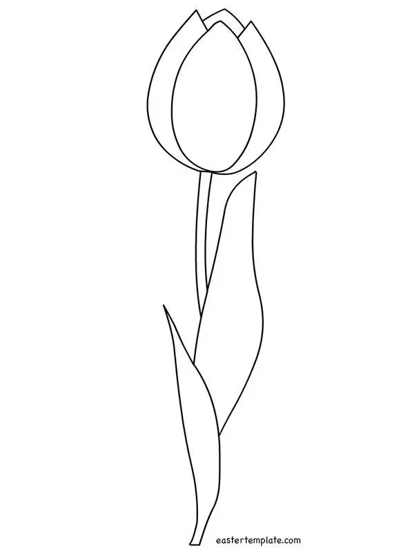 Tranh Tô Màu Hoa Tulip - Những Bông Hoa Rực Rỡ 13