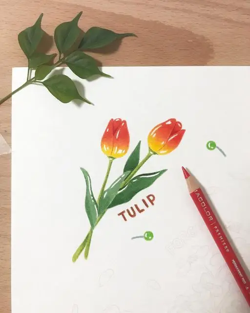 Tranh Tô Màu Hoa Tulip - Những Bông Hoa Rực Rỡ 55