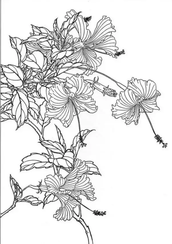 Tranh Tô Màu Hoa Tulip - Những Bông Hoa Rực Rỡ 58