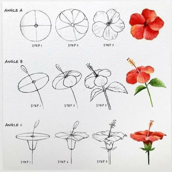 Tranh Tô Màu Hoa Tulip - Những Bông Hoa Rực Rỡ 65