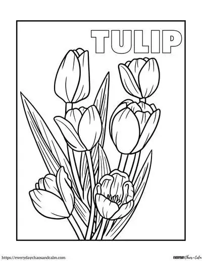 Tranh Tô Màu Hoa Tulip - Những Bông Hoa Rực Rỡ 66