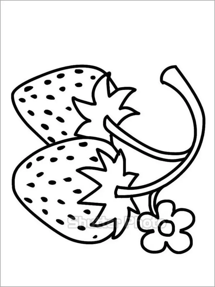 Tranh Tô Màu Lọ Hoa: Khơi Dậy Tính Sáng Tạo Với 100 Hình Ảnh 7