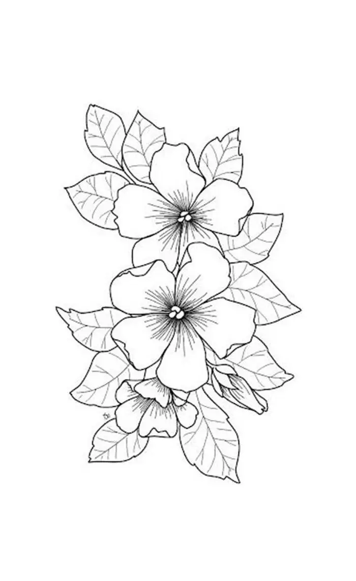 Tranh Tô Màu Lọ Hoa: Khơi Dậy Tính Sáng Tạo Với 100 Hình Ảnh 19