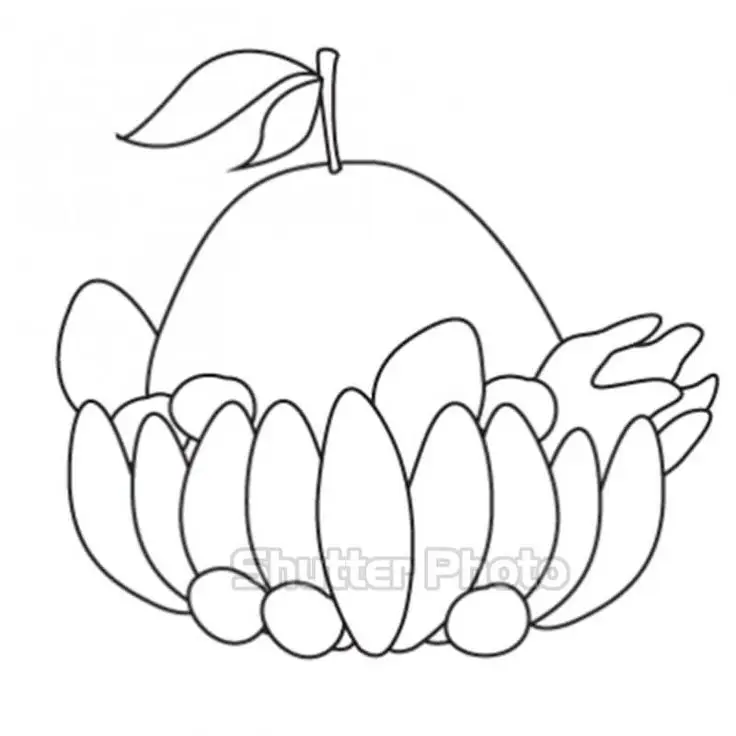 Tranh tô màu mâm ngũ quả ngày Tết: Giới thiệu văn hóa truyền thống 8