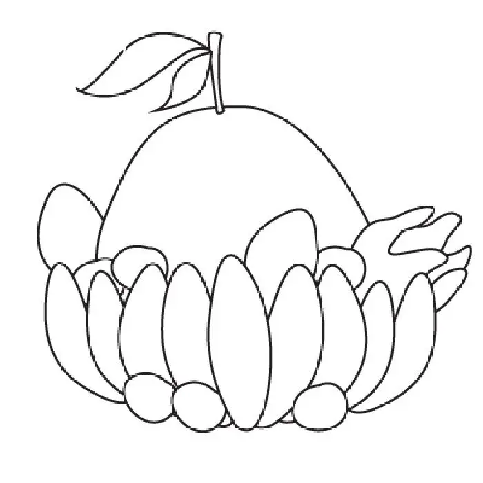 Tranh tô màu mâm ngũ quả ngày Tết: Giới thiệu văn hóa truyền thống 23