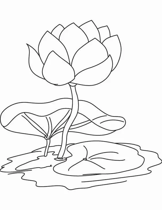 Tranh tô màu mầm non: Sáng tạo cho trẻ em 41