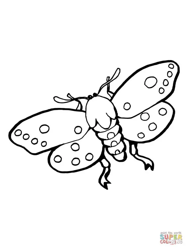 Tranh Tô Màu Động Vật Đáng Yêu 61