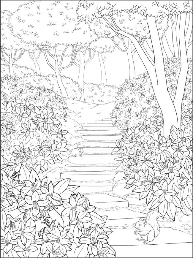 Tranh Tô Màu Phong Cảnh Giúp Giải Trí Cho Người Lớn 24