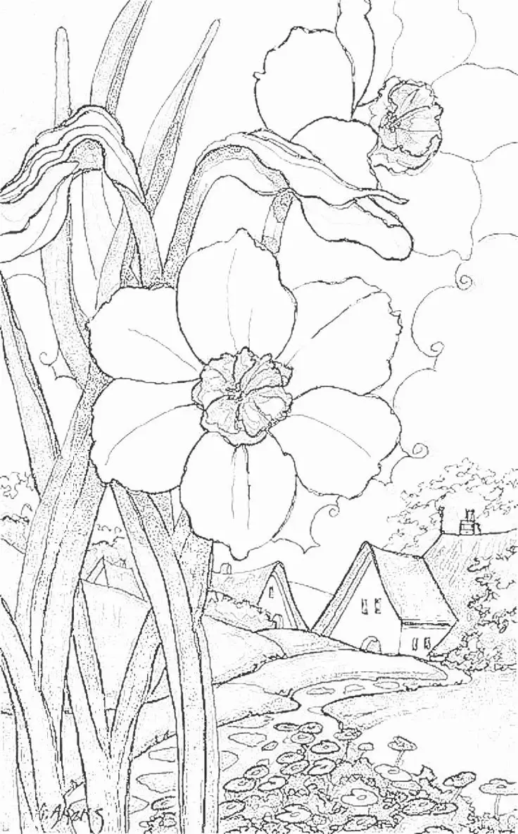 Tranh Tô Màu Phong Cảnh Giúp Giải Trí Cho Người Lớn 44