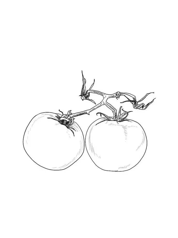 Tranh Tô Màu Rau Củ Quả Tươi Tắn 14