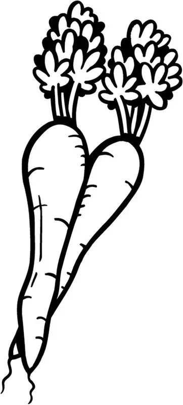 Tranh Tô Màu Rau Củ Quả Tươi Tắn 38