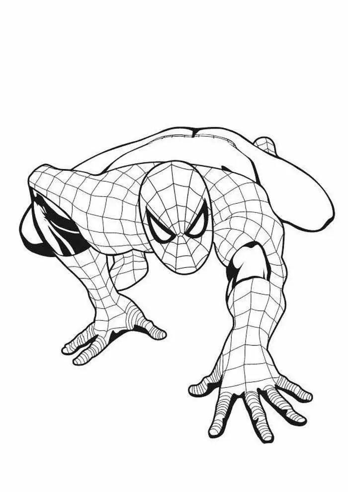 Tranh Tô Màu Spider Man Hành Động Hấp Dẫn 29