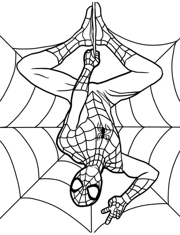 Tranh Tô Màu Spider Man Hành Động Hấp Dẫn 52